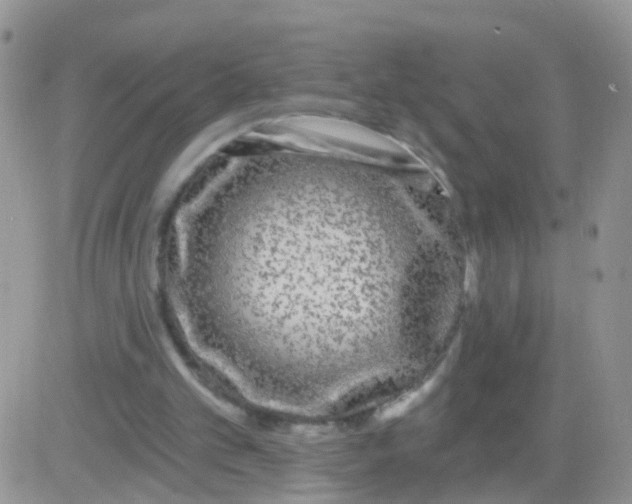 X0000083050101200702232006