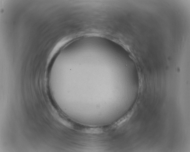 X0000083050102200702232006