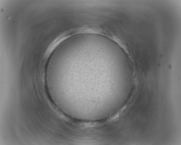 X0000083050103200702232006