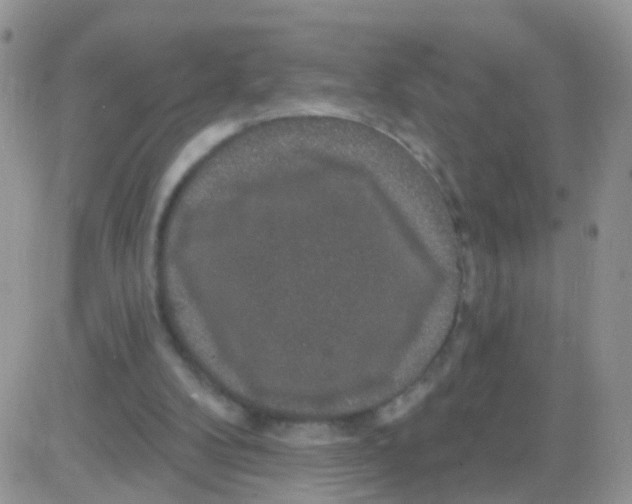 X0000083050104200702232006