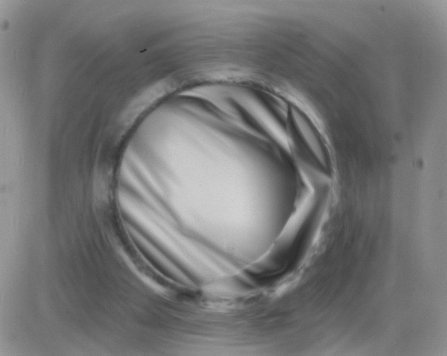 X0000083050105200702232006