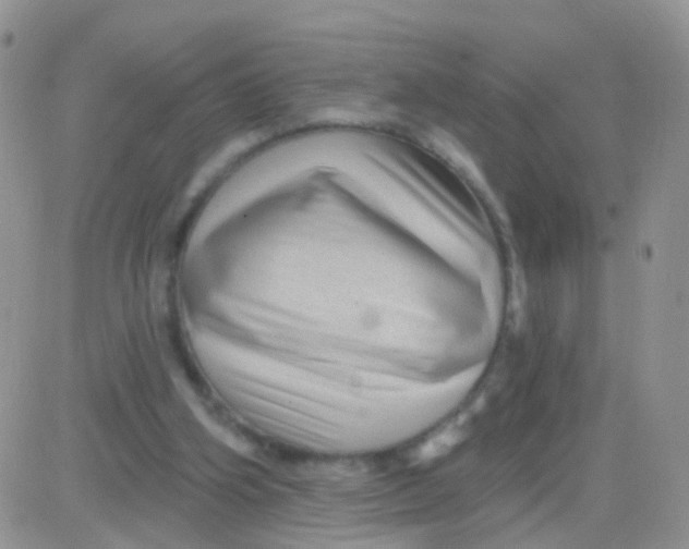 X0000083050106200702232006