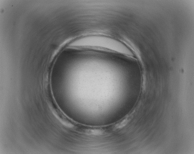 X0000083050107200702232006