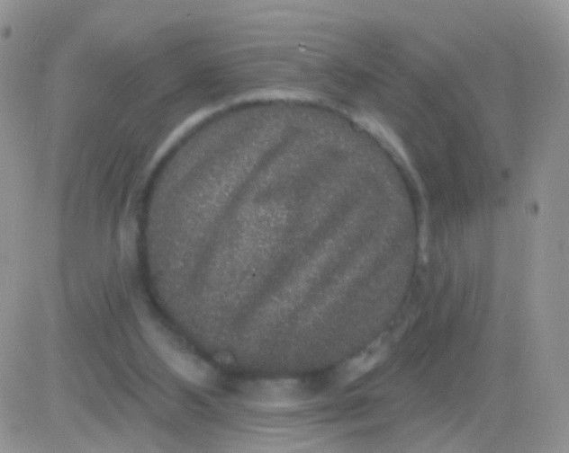 X0000083050108200702232006