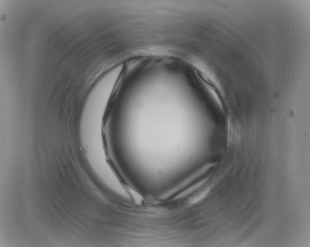 X0000083050109200702232006