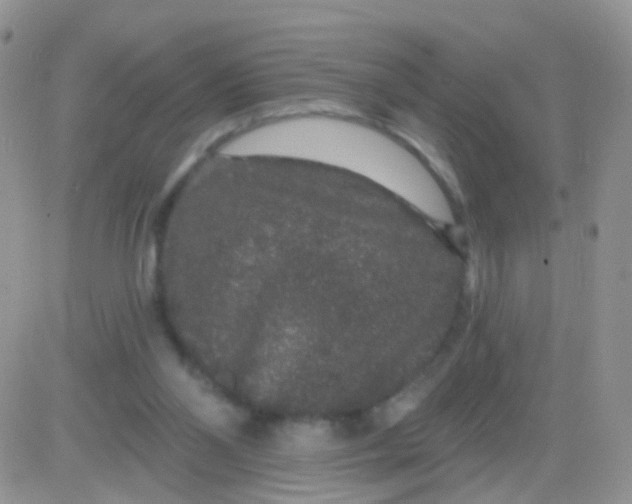 X0000083050110200702232006