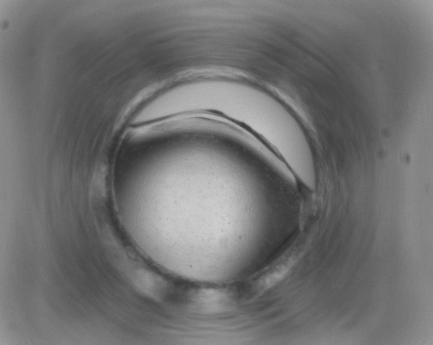 X0000083050111200702232006