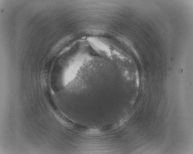 X0000083050114200702232006