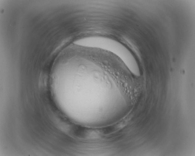 X0000083050115200702232005