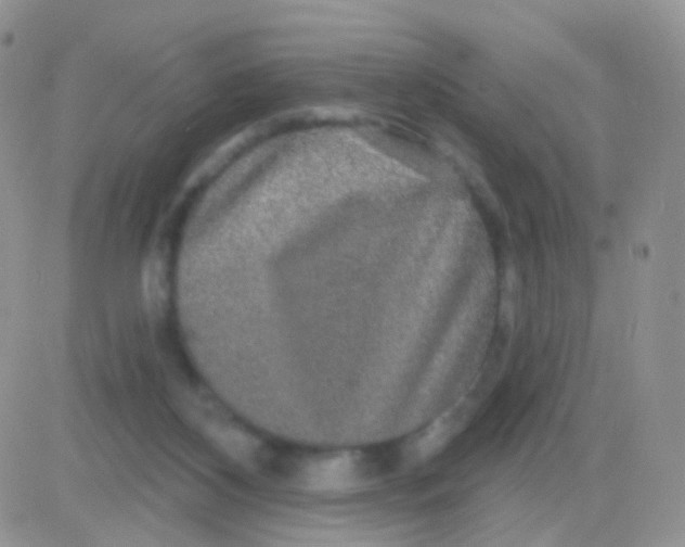 X0000083050116200702232005