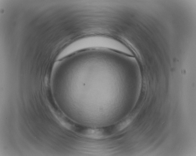 X0000083050117200702232005