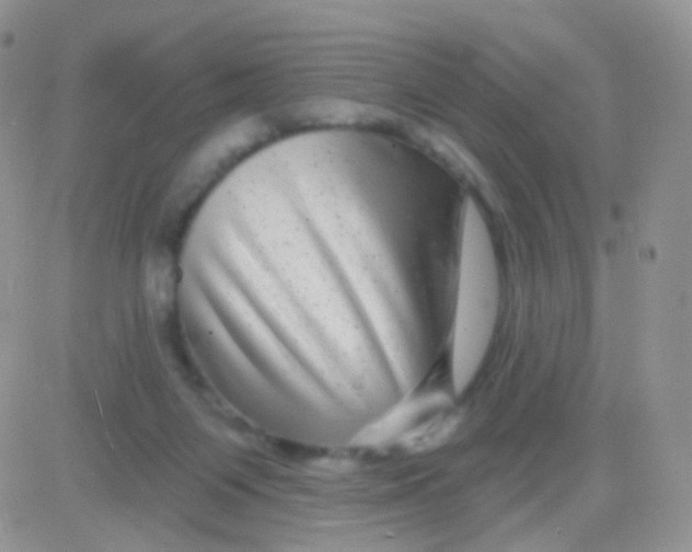 X0000083050119200702232005