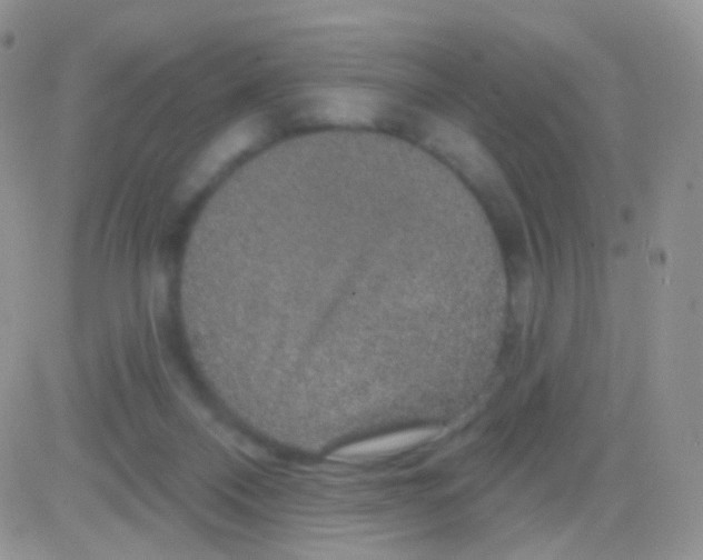 X0000083050120200702232005