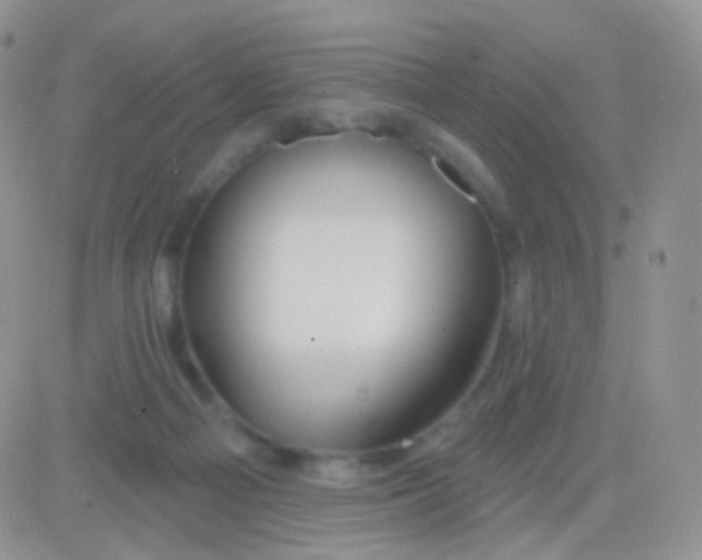 X0000083050121200702232005