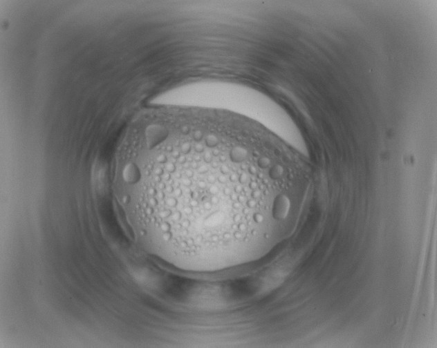 X0000083050123200702232005