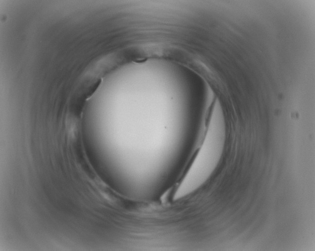 X0000083050125200702232005