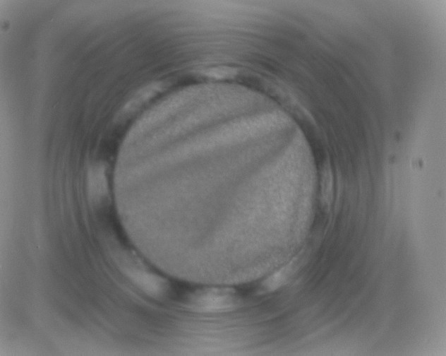 X0000083050128200702232005