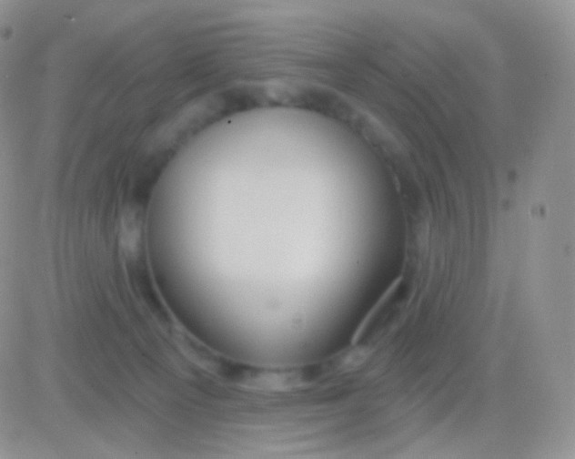 X0000083050129200702232005