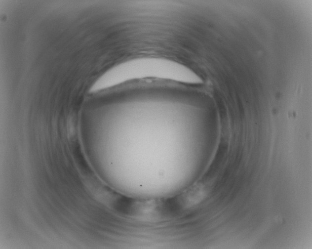 X0000083050131200702232005