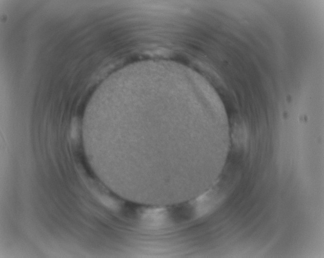 X0000083050132200702232005