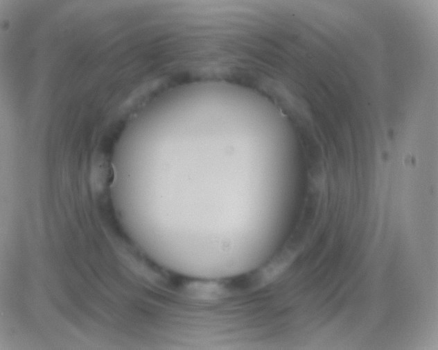 X0000083050133200702232005