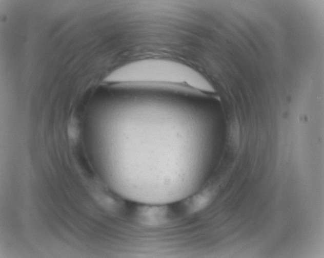 X0000083050135200702232005