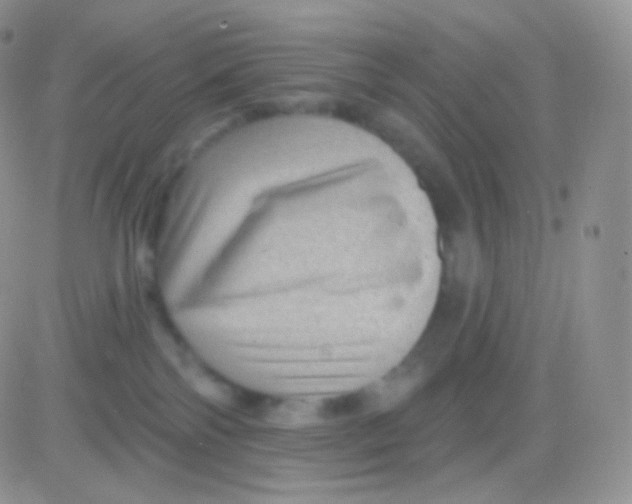 X0000083050138200702232005