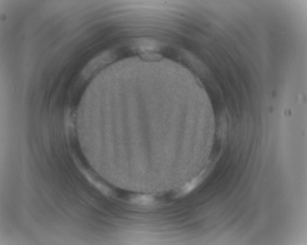 X0000083050140200702232005