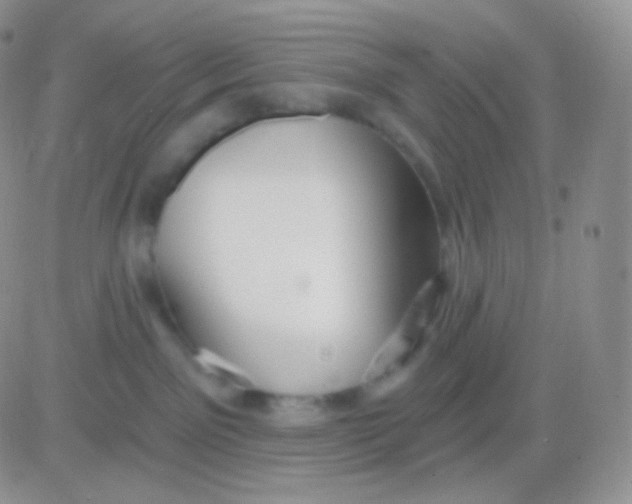 X0000083050141200702232005