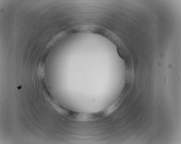 X0000083050142200702232005