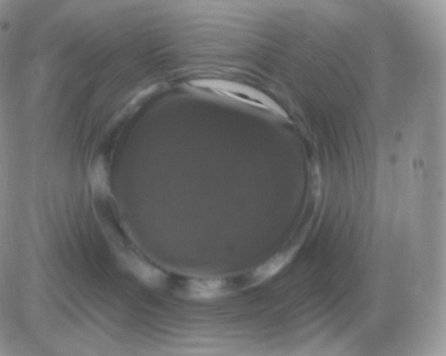 X0000083050143200702232005