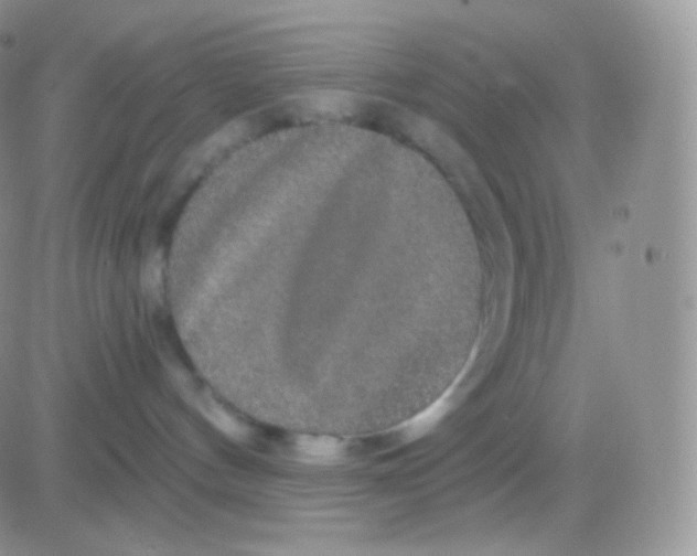 X0000083050144200702232005