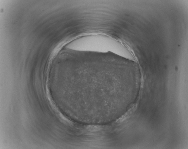 X0000083050145200702232004