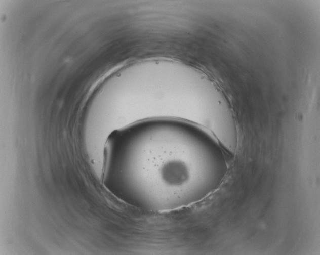 X0000083050146200702232004