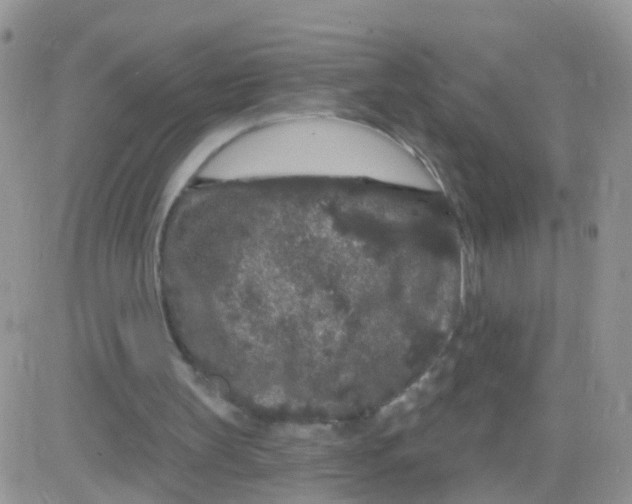 X0000083050147200702232004