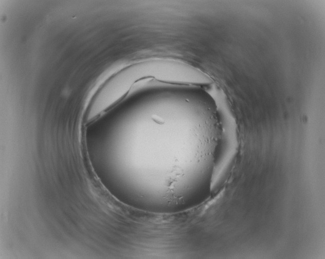 X0000083050148200702232004