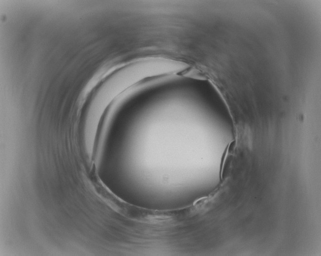 X0000083050150200702232004