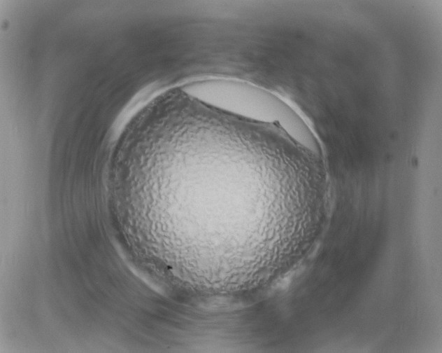 X0000083050151200702232004