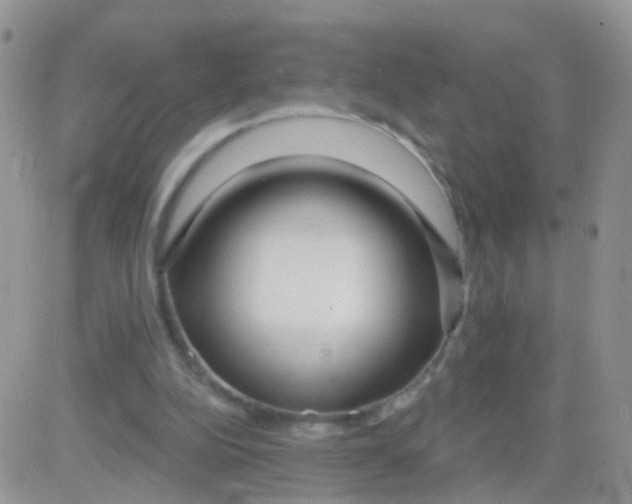 X0000083050152200702232004