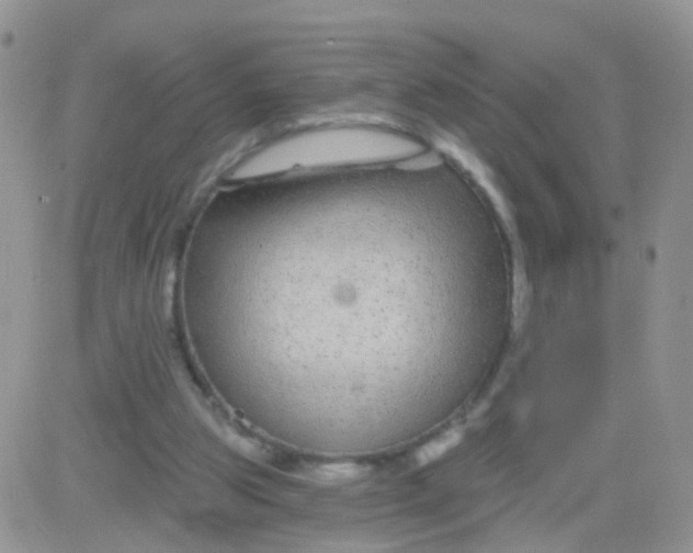 X0000083050153200702232004