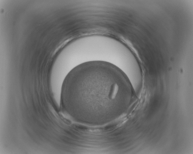 X0000083050154200702232004