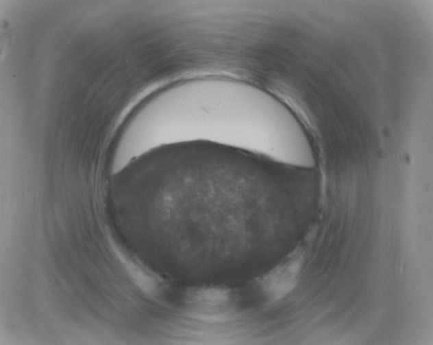 X0000083050156200702232004