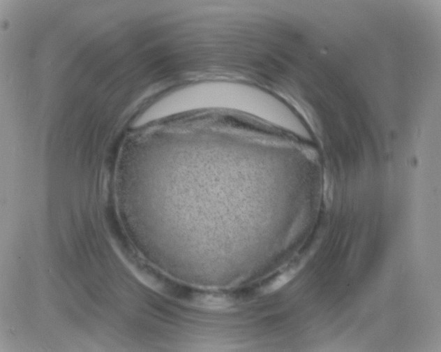 X0000083050157200702232004