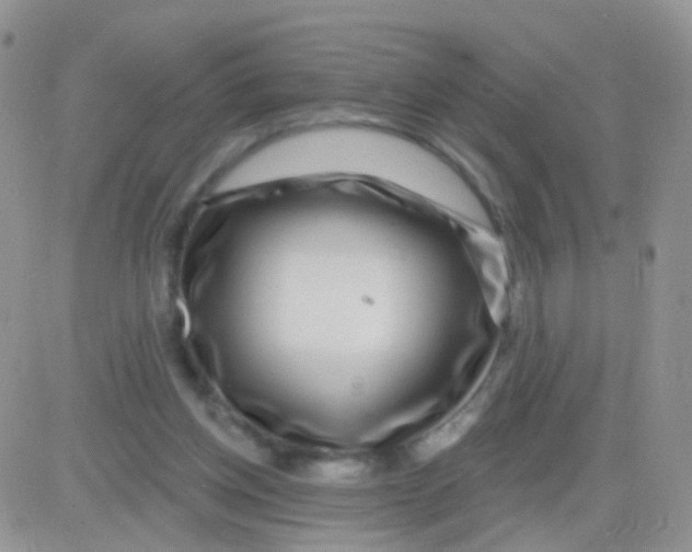 X0000083050158200702232004