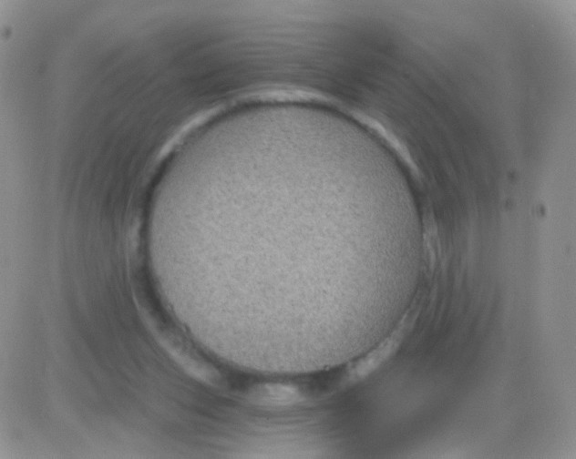 X0000083050159200702232004