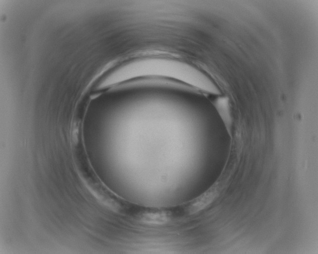 X0000083050160200702232004