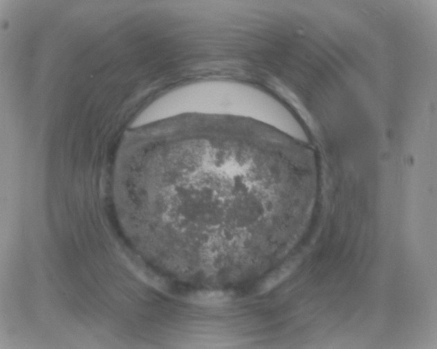 X0000083050161200702232004