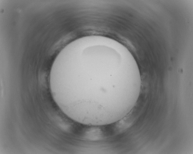 X0000083050162200702232004