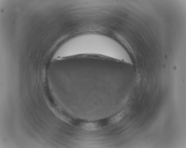 X0000083050163200702232005