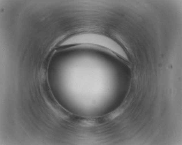 X0000083050164200702232005